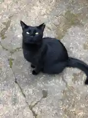 王子神社の動物