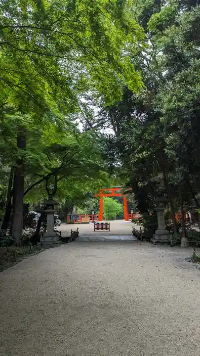賀茂御祖神社(下鴨神社)(京都府)