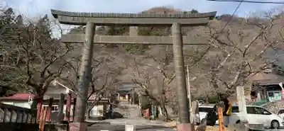 藤原町護国神社の鳥居