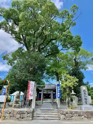 坂本八幡宮の鳥居