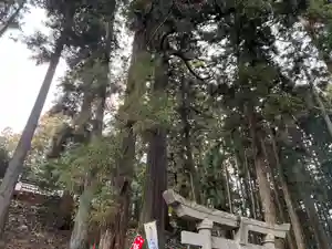 大宮温泉神社(栃木県)(2023年01月19日(木) 10時35分45秒投稿)