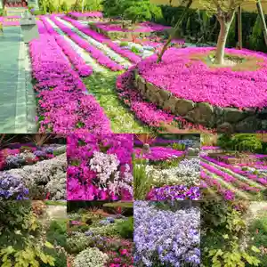 寿量山 速成寺(奈良県)(2020年12月25日(金) 22時21分49秒投稿)