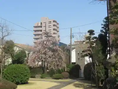龍福寺(東京都)
