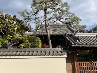 浄心寺(京都府)