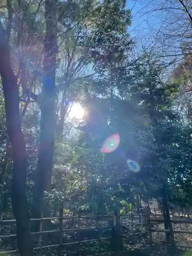 大國魂神社(東京都)
