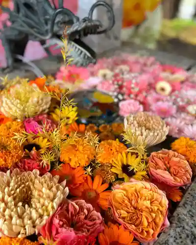 札幌諏訪神社の手水舎