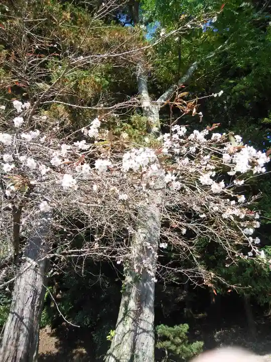 鹿島大神宮(福島県)