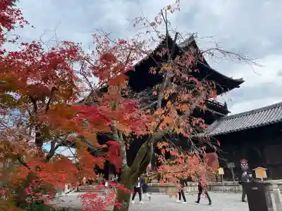 南禅院(京都府)