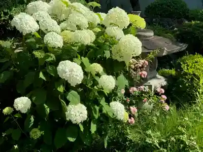 智福院の{uncategorized: "未分類", other: "その他", undefined: "問題あり", building: "その他建物", grave: "お墓", sacred_gate: "鳥居", guardian: "狛犬", statue: "像", buddha: "仏像", history: "歴史", nature: "自然", garden: "庭園", animal: "動物", pagoda: "塔", temizu: "手水舎", mountain_gate: "山門・神門", sanctuary: "本殿・本堂", subordinate: "末社・摂社", art: "芸術", scenery: "景色", jizo: "地蔵", ema: "絵馬", goshuin: "御朱印", omikuji: "おみくじ", items: "授与品その他", amulet: "お守り", goshuincho: "御朱印帳", eats: "食事", festival: "お祭り", votive_dance: "神楽", shichigosan: "七五三参", wedding: "結婚式", experience: "体験その他", initially: "初詣", around: "周辺", anti_infection: "感染症対策"}