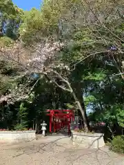 彌都加伎神社の建物その他