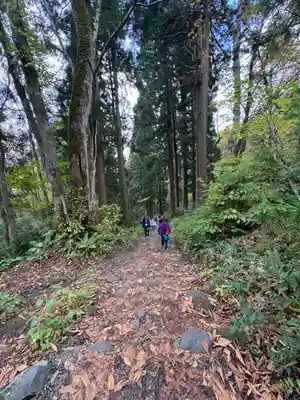 戸隠神社九頭龍社(長野県)