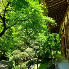 大洞院の建物その他