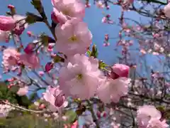 滑川神社 - 仕事と子どもの守り神の芸術