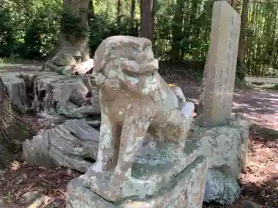 庤神社の狛犬