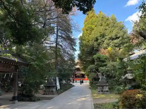 道野辺八幡宮(千葉県)