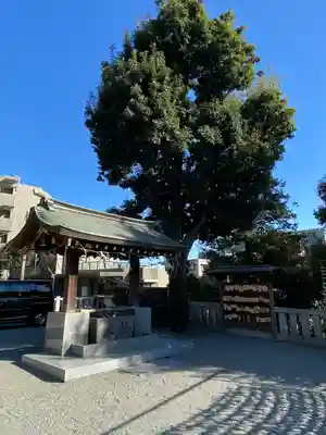 長津田王子神社の手水舎