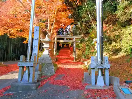 白山神社の鳥居