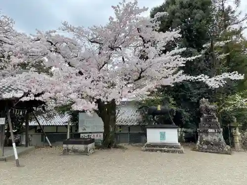 加佐美神社(岐阜県)