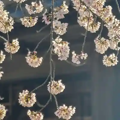 伊勢の国 四天王寺(三重県)