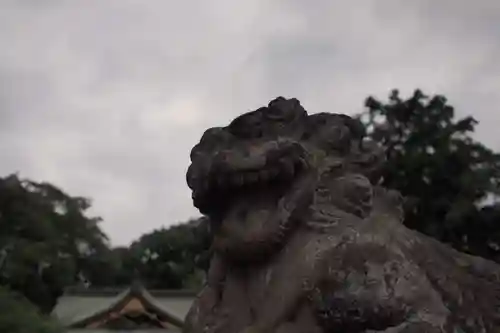 鎮守氷川神社の狛犬