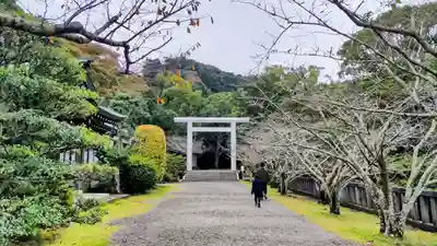 安房神社(千葉県)