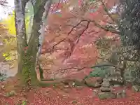 高源寺(兵庫県)