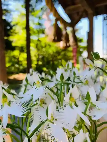 土津神社｜こどもと出世の神さまの自然