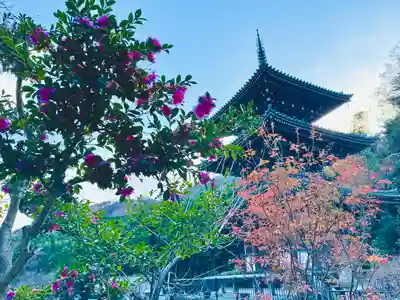 浄発願寺(神奈川県)