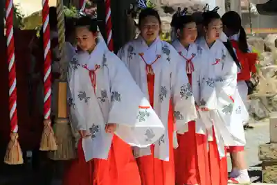 高屋敷稲荷神社のお祭り