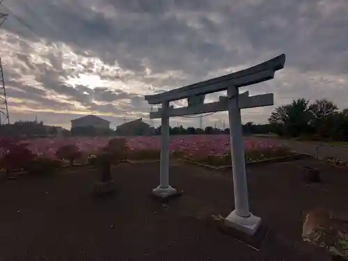 寅稲荷神社の鳥居