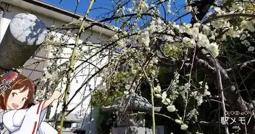 堀切天祖神社の自然