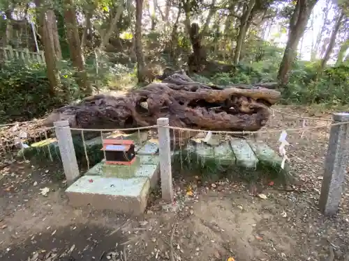 泉神社(茨城県)