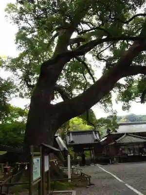 事任八幡宮のその他建物
