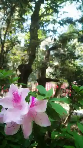 南宮稲荷大明神の自然