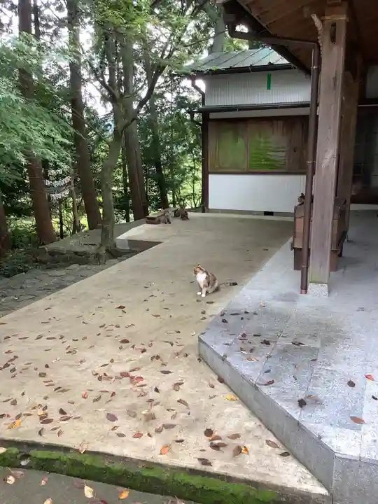 玉野御嶽神社の動物