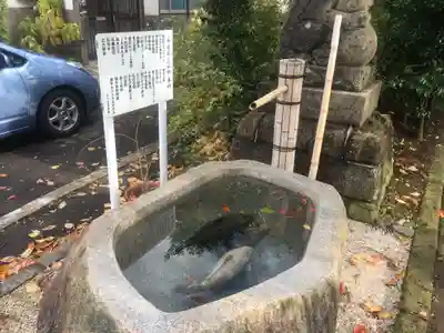 横手神明社の手水舎