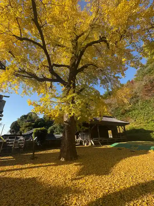 綾部八幡神社(佐賀県)
