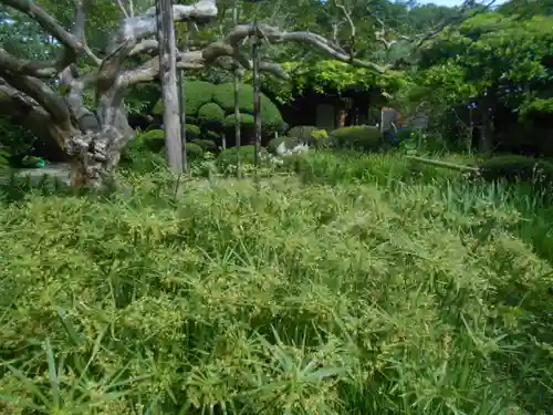 極楽寺（霊鷲山感應院極楽律寺）の庭園