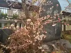 阿部野神社の自然