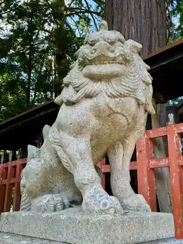 佐々尾神社(京都府)