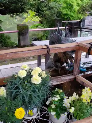 津島神社の手水舎
