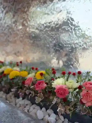 宮地嶽神社の{uncategorized: "未分類", other: "その他", undefined: "問題あり", building: "その他建物", grave: "お墓", sacred_gate: "鳥居", guardian: "狛犬", statue: "像", buddha: "仏像", history: "歴史", nature: "自然", garden: "庭園", animal: "動物", pagoda: "塔", temizu: "手水舎", mountain_gate: "山門・神門", sanctuary: "本殿・本堂", subordinate: "末社・摂社", art: "芸術", scenery: "景色", jizo: "地蔵", ema: "絵馬", goshuin: "御朱印", omikuji: "おみくじ", items: "授与品その他", amulet: "お守り", goshuincho: "御朱印帳", eats: "食事", festival: "お祭り", votive_dance: "神楽", shichigosan: "七五三参", wedding: "結婚式", experience: "体験その他", initially: "初詣", around: "周辺", anti_infection: "感染症対策"}