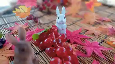 阿邪訶根神社(福島県)