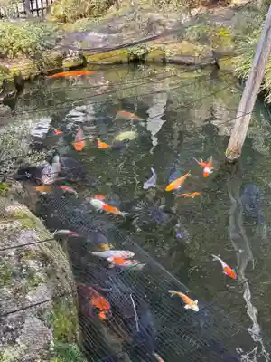 櫻山八幡宮(岐阜県)