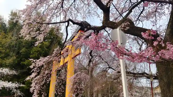 平野神社(京都府)