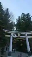 宝登山神社の鳥居