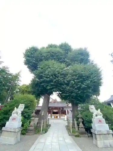 亀ケ池八幡宮の狛犬