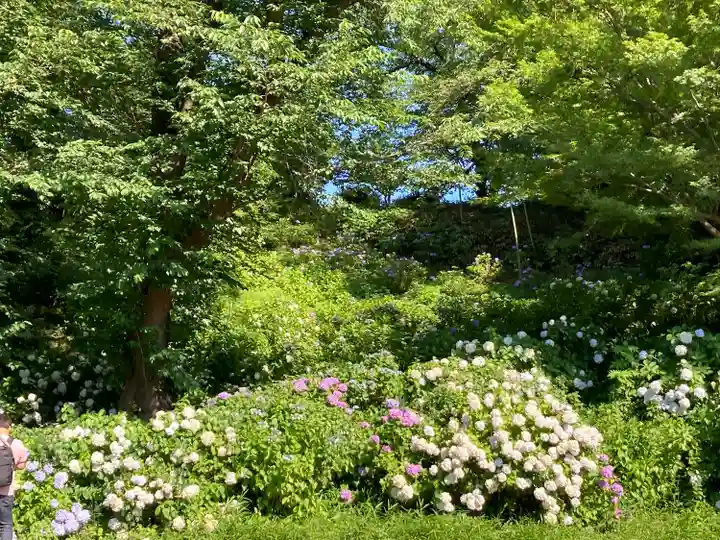 天台宗 長窪山 正覚寺の自然