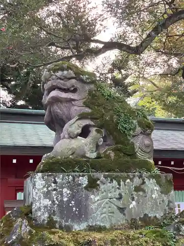 大國魂神社の狛犬