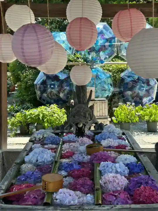 柳谷観音 楊谷寺(京都府)